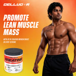 CELLUCOR Creatine Cor-Performance Mango Desire 83 Serving - 315Gm